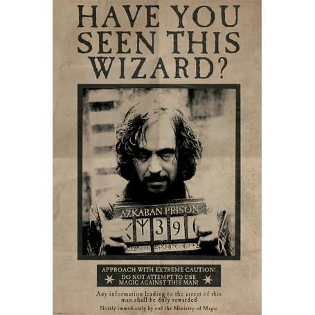 Maxi poster Sirius