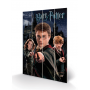 Stampa Harry-Hermione-Ron su legno
